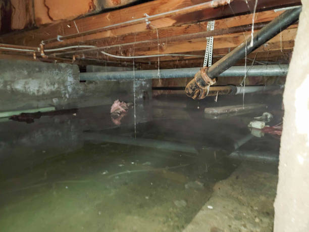 Water damage restoration process