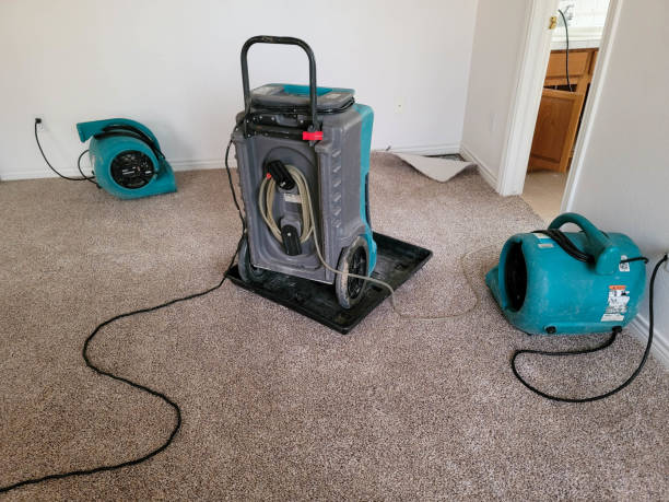 Best Commercial water damage restoration  in Central City, IA